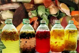 菜叶瓜皮烂水果别再丢掉，这样制作有机肥，比买的化肥好用