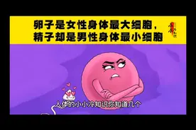 七个脚掌是人体的身高，那脚小的就是个子小百