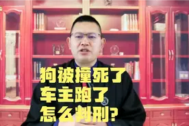 #普法行动#狗被撞死了车主跑了怎么处理？@微信时刻视频封面