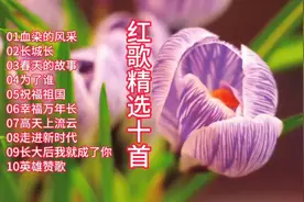 董文华 汤灿 张也 宋祖英 红歌精选十首 嘹亮的歌声吟唱世间真情视频封面