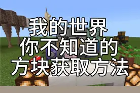 我的世界你不知道的方块获取方法，拒绝方块与允许方块的获取方法