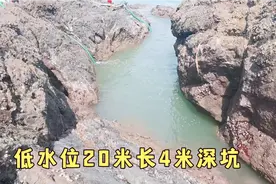 惦记许久的低水位4米深坑，没抽干就抓了很多条，抽干后难以想象视频封面