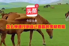 怎么在今日头条快速找到自己喜欢的素材
