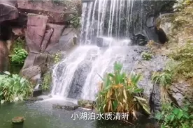 岳麓山脚下到山顶，观光车爬山类似香港太平山，体验一下怎样感觉