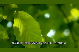 黄芪颗粒介绍