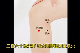 足太阴脾经阴陵泉穴歌诀及取穴法