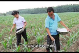 种植玉米是用二铵好还是复合肥好?视频封面