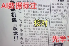 AI数据标注，校对，每个项目要请老师给大家讲解一下。
