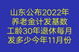 山东公布2022年养老金计发基数，工龄30年退休每月发多少今年11月视频封面