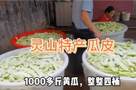 广西灵山特产瓜皮，好吃开胃爽口又下饭的一道菜，大家有吃过吗？视频封面
