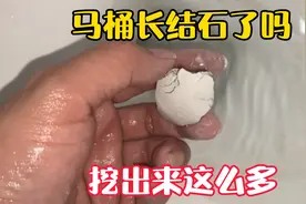是不是业主欠工人钱不给被整了，马桶里倒进那么多腻子粉，堵了视频封面