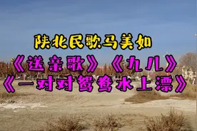 陕北马美如《送亲歌》《九儿》《一对对鸳鸯水上漂》让人流泪……