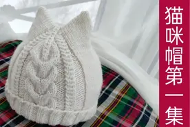 猫咪帽的编织方法第1集，简单可爱的宝宝帽子妈妈们来学习吧视频封面