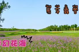 长春自驾游新线路 从净月到莲花山沿线 房车驿站森林露营梦幻花海