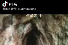 生命之门视频封面