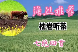 好看的动物诗，尽在这里，快来给你家孩子收藏吧视频封面