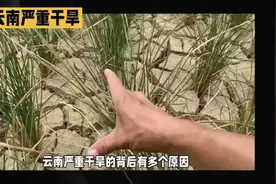 云南严重干旱的五点主要原因视频封面