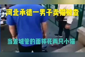 河北承德一男子夜市卖猫，被城管没收，当着城管的面摔死两只小猫视频封面