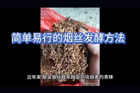 简单易行的烟丝发酵方法