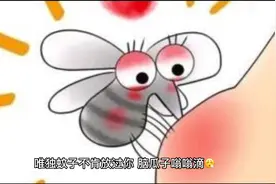 哪类人招蚊子“喜欢”