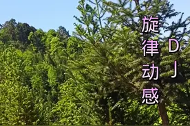 重低音《云南山歌》旋律动感DJ推荐！随便拍的