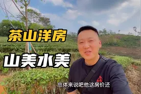 部分北方人定居云南普洱，物价低，房价也低，养老洋房才卖7800视频封面