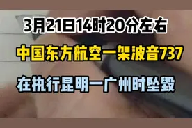 3月21日14时20分左右中国东方航空一架波音737在昆明飞广州时坠毁视频封面
