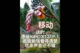 中国移动送的康佳KIPC-X131P-1监控摄像头，和家亲，勉强看得清。视频封面