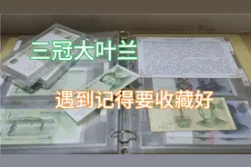 991三冠大叶兰不普通，就算是流通品也有价值，遇到要收好视频封面