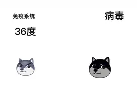 免疫系统杀病毒