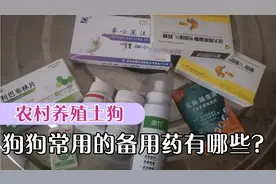 农村养殖土狗！养狗人必备的狗药！狗狗生病及时治疗！值得收藏视频封面