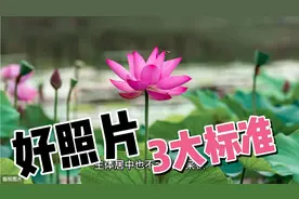 好照片3大标准，摄影新手这样拍，准没错！