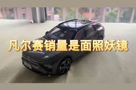 凡尔赛销量是一面照妖镜视频封面