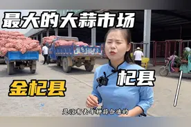 河南zui大的大蒜交易市场，在开封杞县，今年蒜价一般吧视频封面