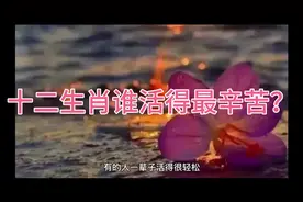 十二生肖谁活得最辛苦？视频封面