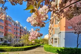 您了解乳山银滩人气最旺的大庆一小区吗？那是我的第二故乡。