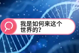 我是如何来这个世界的？？