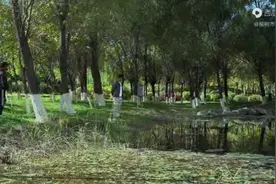 承包的鱼塘致人溺亡，法律责任如何界定？