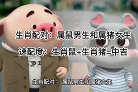 生肖配对：属鼠男生和属猪女生视频封面