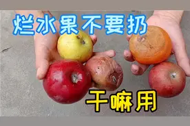烂掉的苹果桔子不要扔，1个简单动作制作酵素，收藏告诉家人
