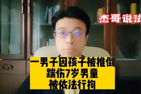 一男子因孩子被推倒踹伤7岁男童，被依法行拘视频封面