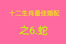 蛇生肖最佳婚配是谁呢视频封面