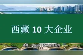 西藏十大企业视频封面