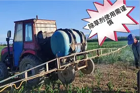 农机手打除草剂失误，造成农户五十余亩玉米绝收，损失谁来承担?视频封面