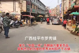 广西桂平市罗秀镇视频封面