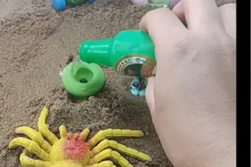 啦啦啦……嗯？这什么什么呀？