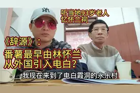 《辞源》：番薯最早由林怀兰从外国引到电白？听93岁老人忆怀兰祠视频封面