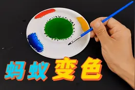 蚂蚁吃了蜂蜜，真的会变色吗？帅小伙亲测！