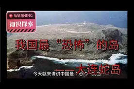 遍布毒蛇的岛屿你敢去吗？大连蛇岛最真实的恐怖炼狱视频封面
