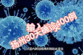 扬州30天确诊近400例新冠病毒